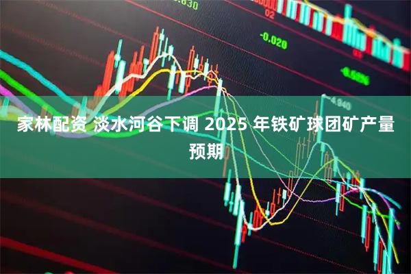 家林配資 淡水河谷下調 2025 年鐵礦球團礦產量預期